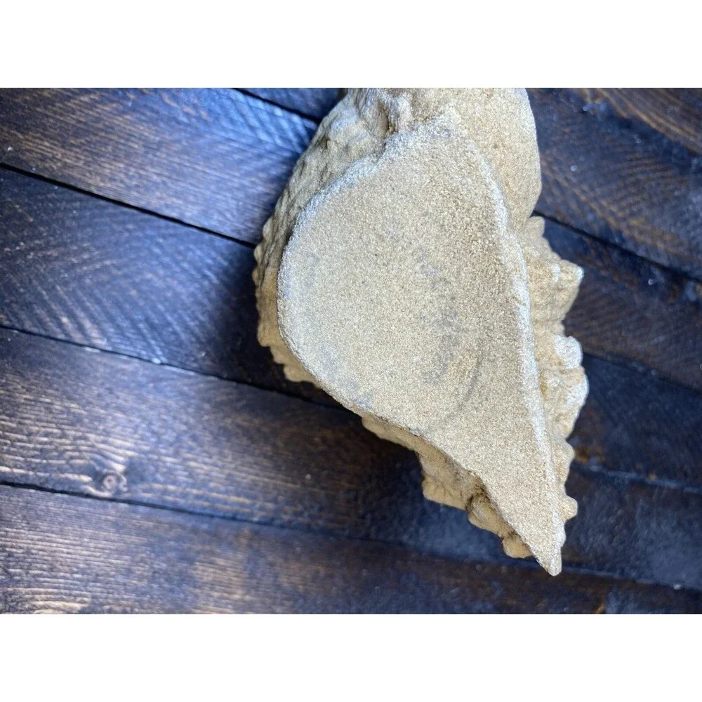Vintage Sandstone Textured Conch Shell Figurine Paperweight